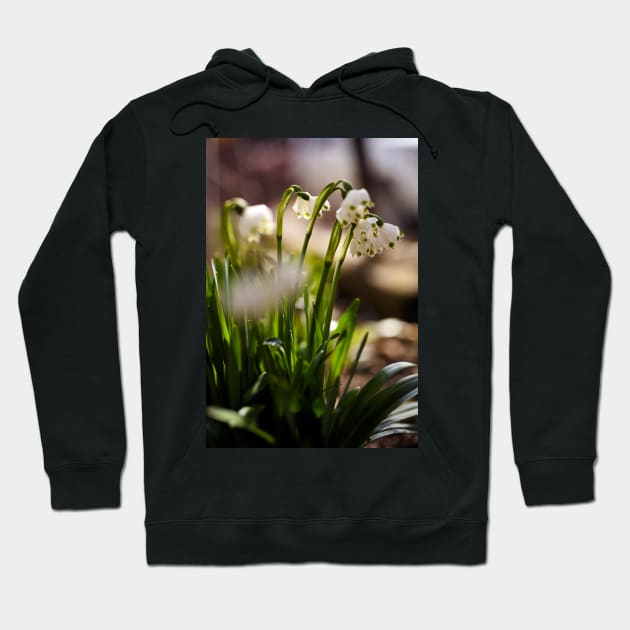 Spring snowdrop flowers Hoodie by naturalis